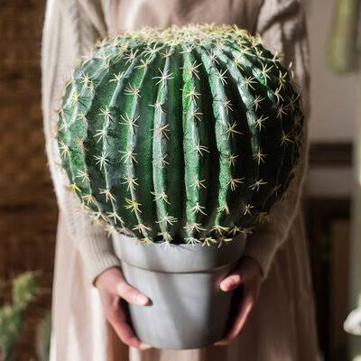 Artificial Cactus Plant in Pot Union Rustic Size: 17.3x22 H x 13.8x22 W x 13.8x22 D RSA3_A3KGV65