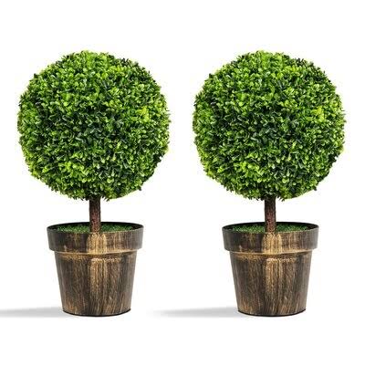 15&& Artificial Boxwood Tree in Planter Primrue MYQ2_G9CGU16