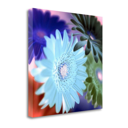 Tangletown Fine Art Floral Color, 1x22 by Alan Blaustein, Giclee Print on Wrap Canvas, 35x22X35x22 OLK2_X2XPJ46