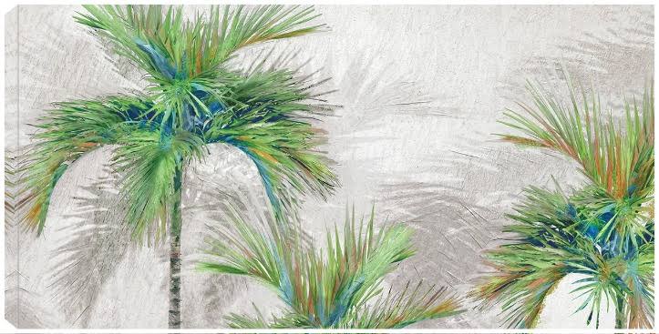 Palm Shadows Canvas Print by Studio Arts 40x21 Fineartcanvas JYZ1_T3AVQ54