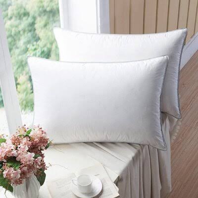 Manzella Premium Goose Down Alternative Firm Support Pillow Alwyn Home Size: Queen ZQQ0_Y1GMZ00