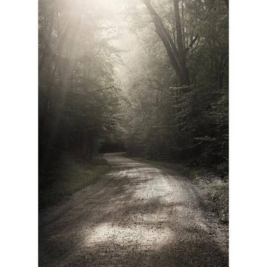 Easy Art Prints Nicholas Bells &Back Country Road& Premium Canvas Art (35 x 25) IET5_P4EYE80