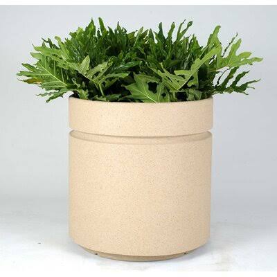 Mccollum Plastic Pot Planter Arlmont  Co. Color: White Honey, Size: 21x22 H x 20x22 W x 18x22 D ZMH8_H5FLU98