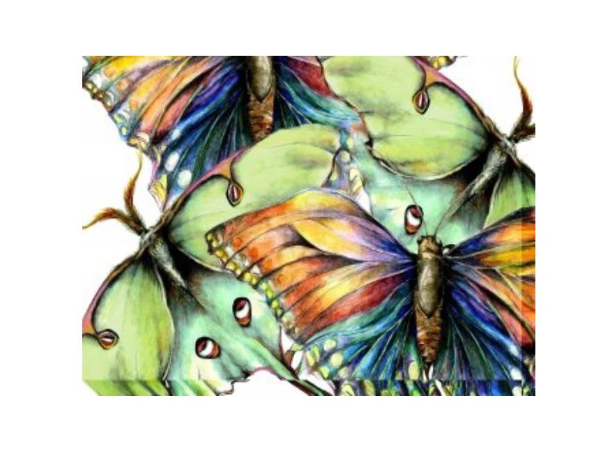 Green and Brown Pastel Butterfly Outdoor Canvas Rectangular Wall Art Decor 30x22 x 40x22 FEX1_V6AGH59