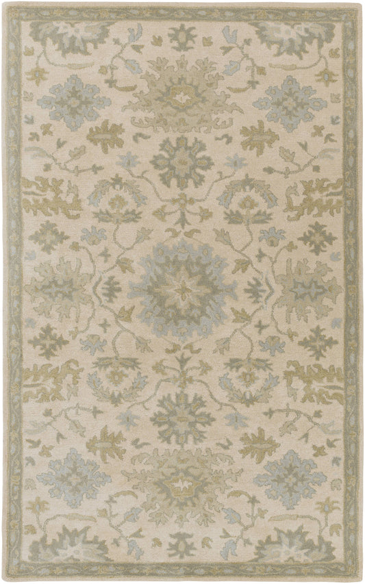 Traditional BHS-0028827 Tufted Wool Beige Classic Rug | 4 x 6 HQK4_N6ZJT26