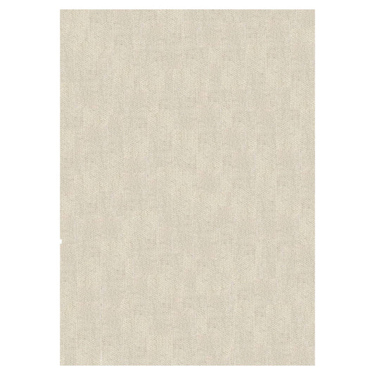 Renwil Angora 5&2x22 x 7&2x22 Area Rug in Ivory OZB8_E7CNV28