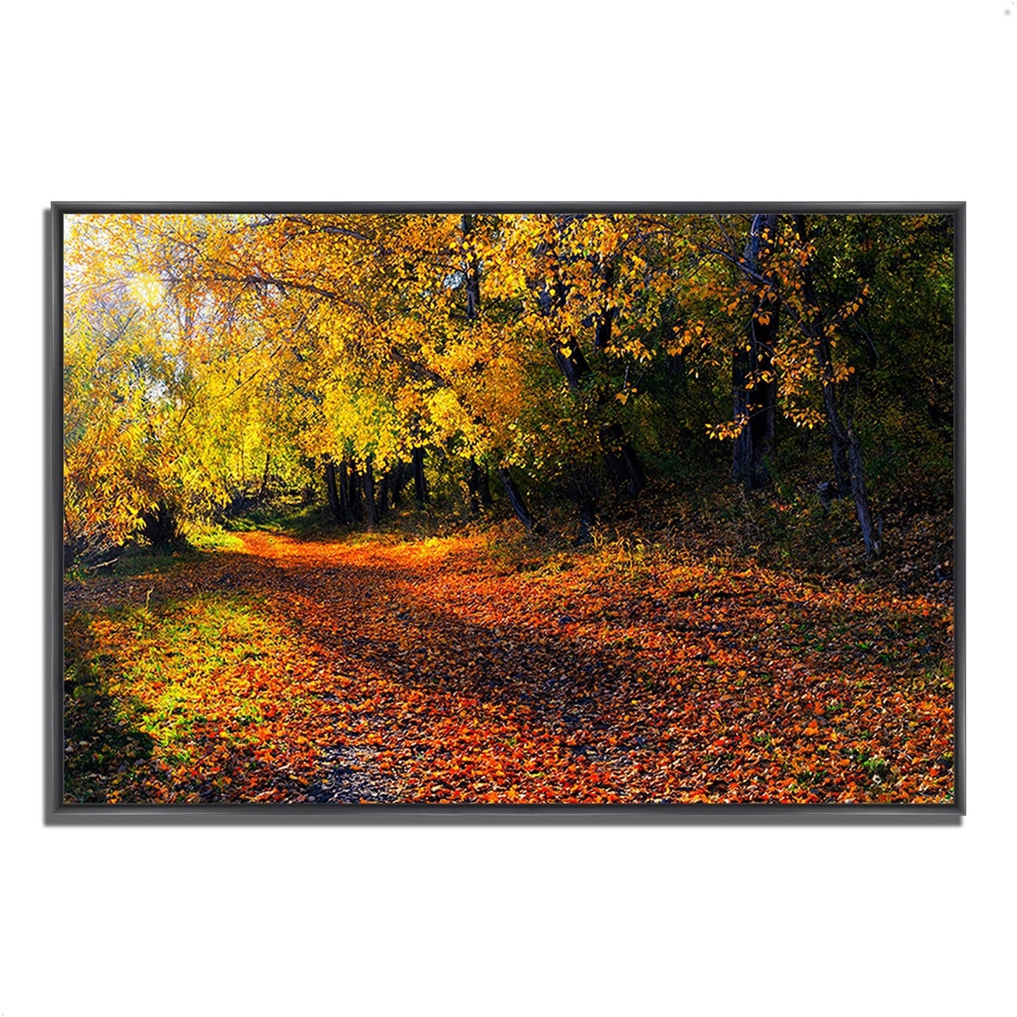 Winston Porter Auburn Trail Framed Acrylic Painting Print, Brown WFW4_V5SAL79