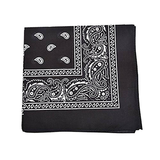 250 Pack Qraftsy Paisley 100% Polyester Bandanas - Bulk Lot QIJ3_Y6VMX28