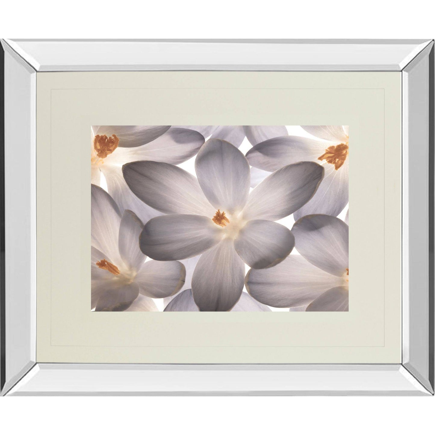 Petal Perfect Mirror-Framed Wall Art 40x22 x 34x22 EHZ5_A3PTP98