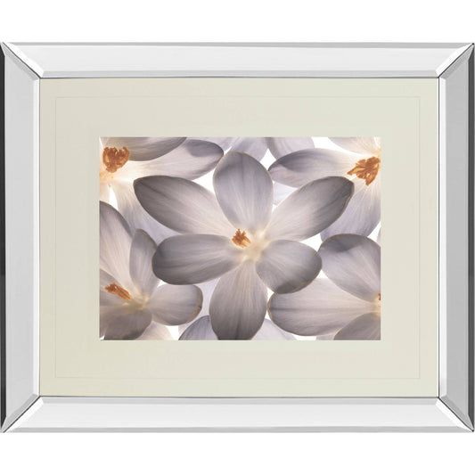 Petal Perfect Mirror-Framed Wall Art 40x22 x 34x22 EHZ5_A3PTP98