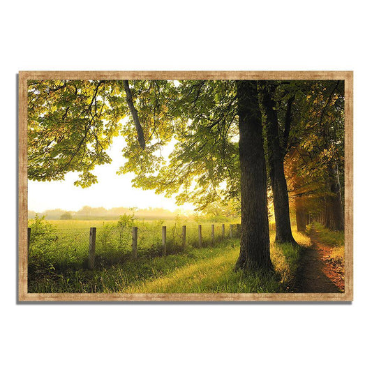 Fresh Morning SunFramed Photograph Print Framed Photograph Print JET0_T7CSA05