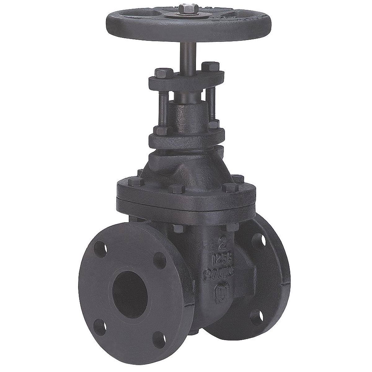 Milwaukee Valve 2882-M 3x22 Gate Valve,Class 125,3 in. NJT8_I1SCE98