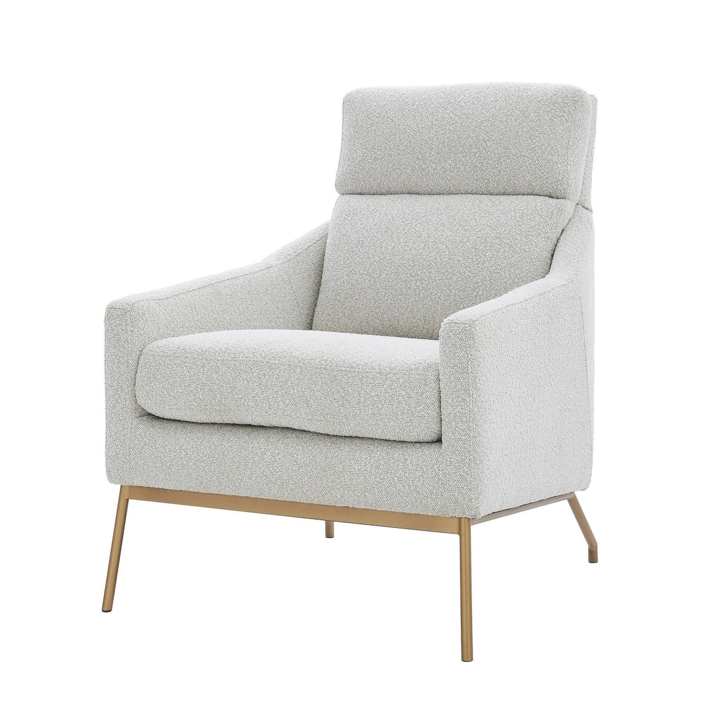 Adrian Fabric Accent Arm Chair DGW6_G6LFW66