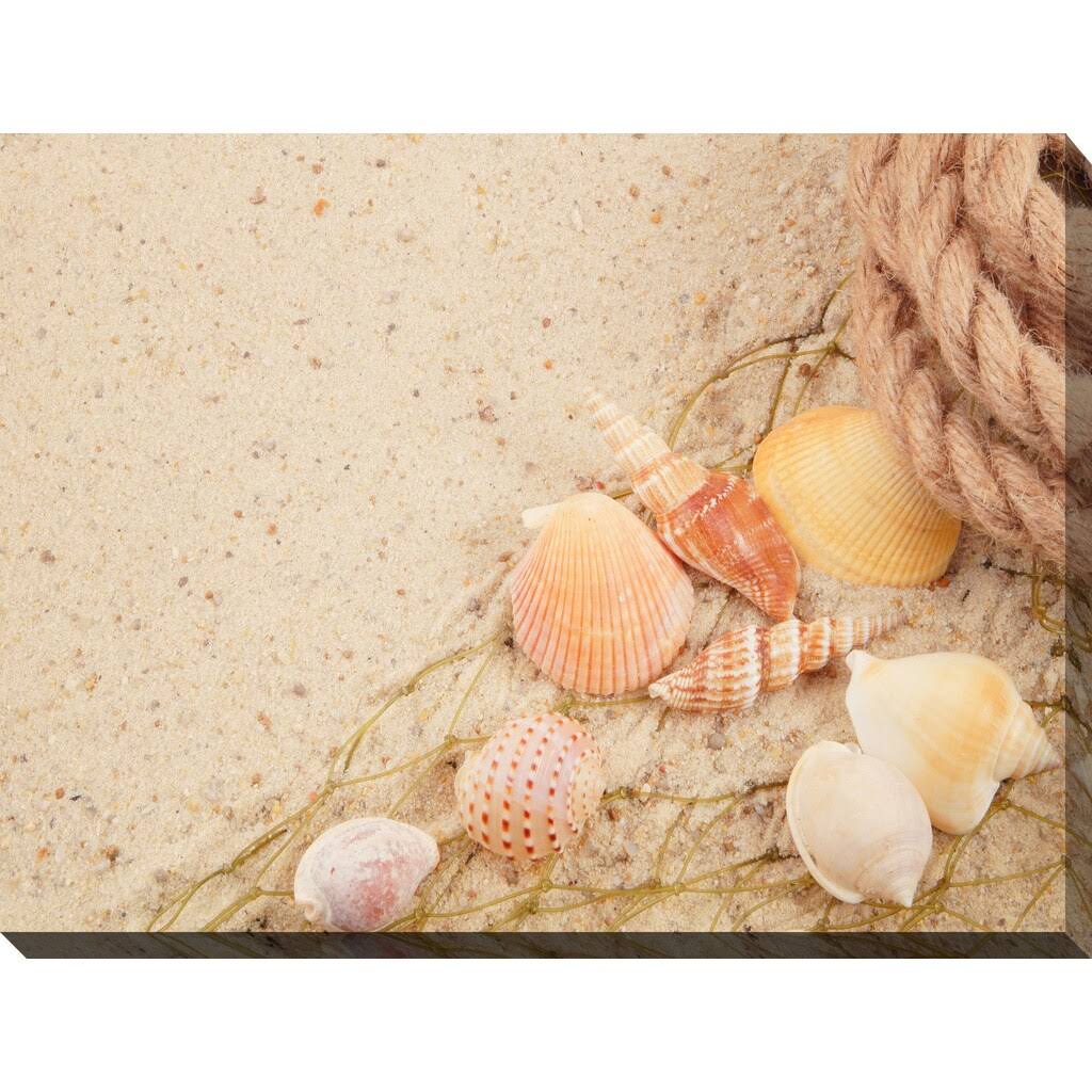 Picture Perfect International Sandy Shells 1x22 Giclee Print Canvas Wall Art, 30 Inches x 40 Inches x 1.5 Inches HZY5_E4GDU79