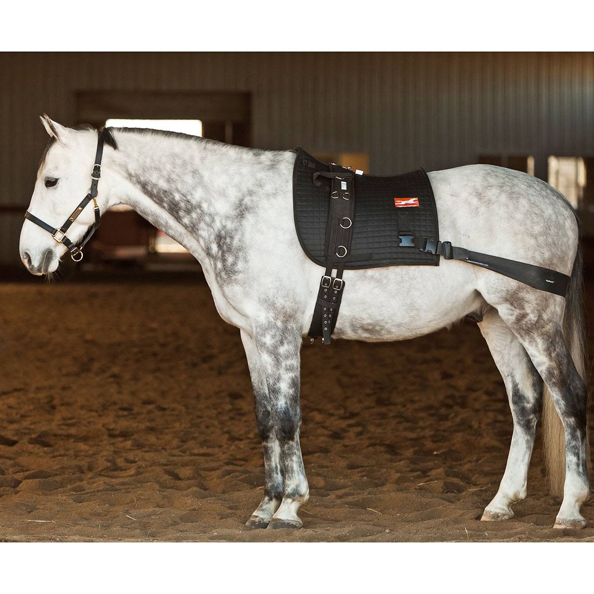 Equiband Equicore Complete System, Regular Horse QRS5_Q8WYY96