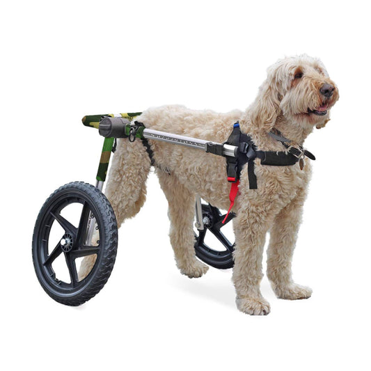 Walkin& Wheels Dog Wheelchair - for Med/Large Dogs 50-69 Pounds - Veterinarian Approved - Dog W MIF9_X6ODQ45