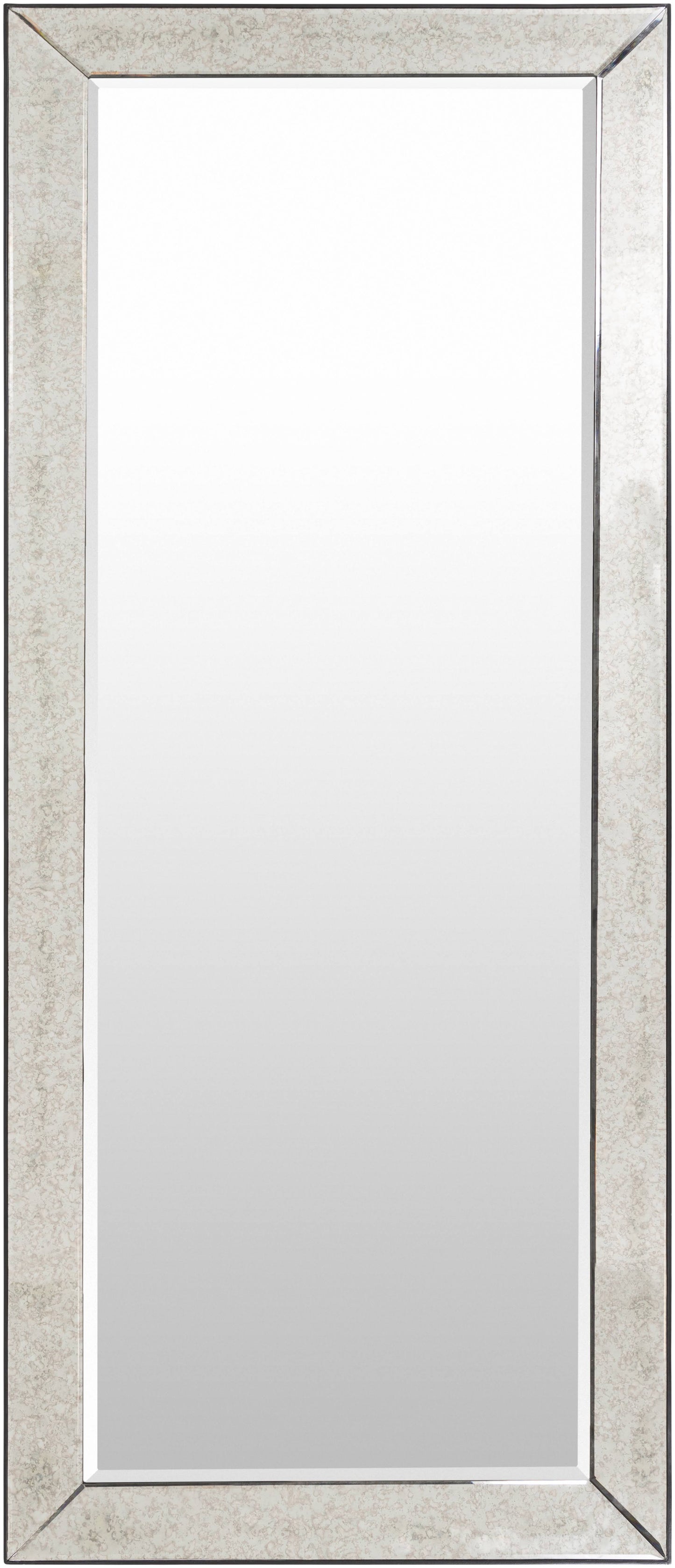 Sprigg 30x22 x 72x22 Rectangle Modern Glass Mirror - Hauteloom ASB1_D6KPH59