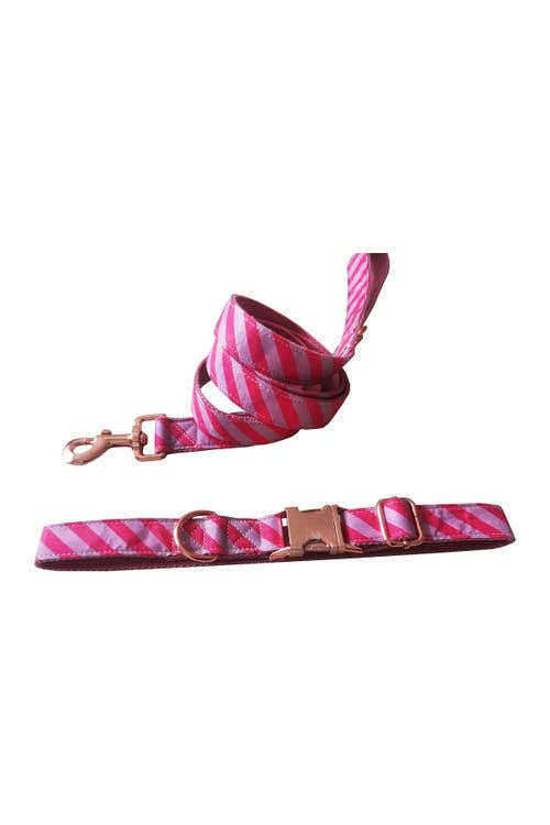 Dogs of Glamour Pink Chevron Collar  Leash Set - Large - Pink/White at Nordstrom Rack DHO1_G5UXP63